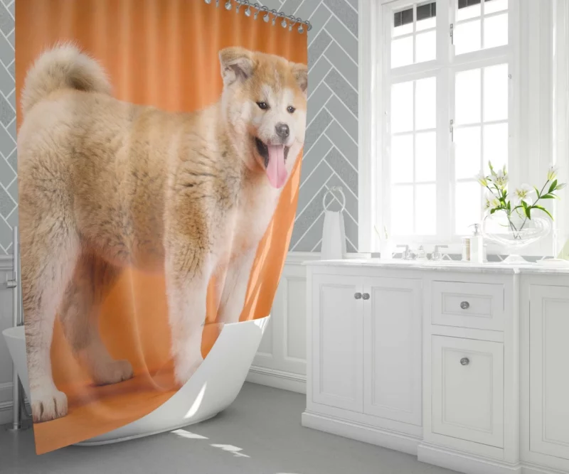 Akita Noble Demeanor Loyal Guardian Shower Curtain 1