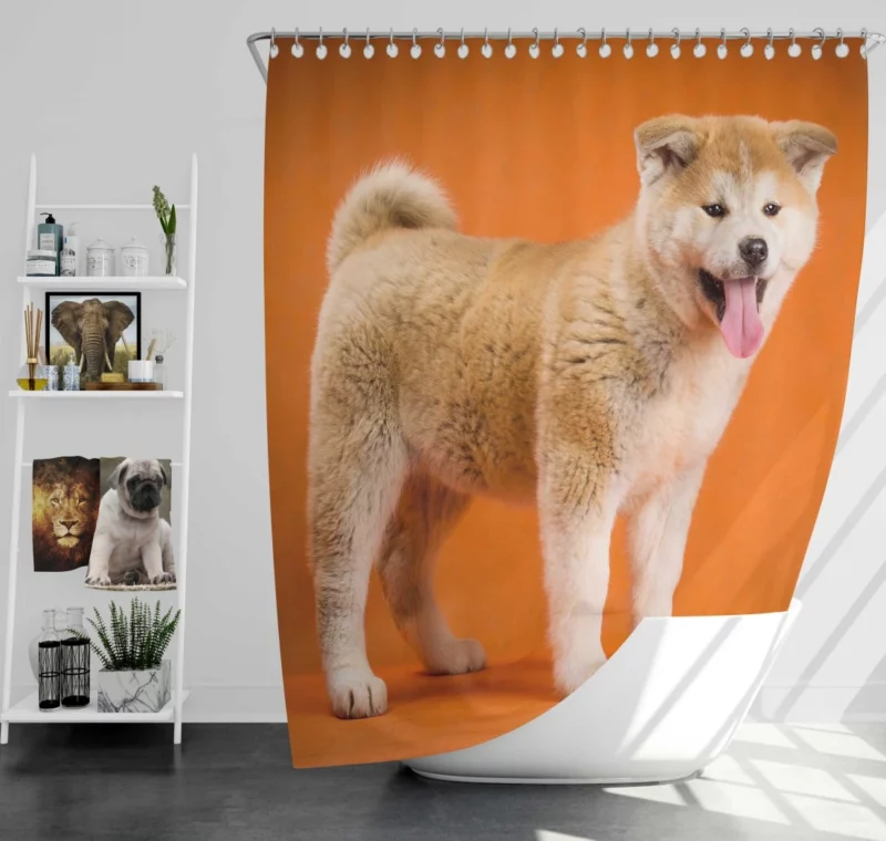 Akita Noble Demeanor Loyal Guardian Shower Curtain