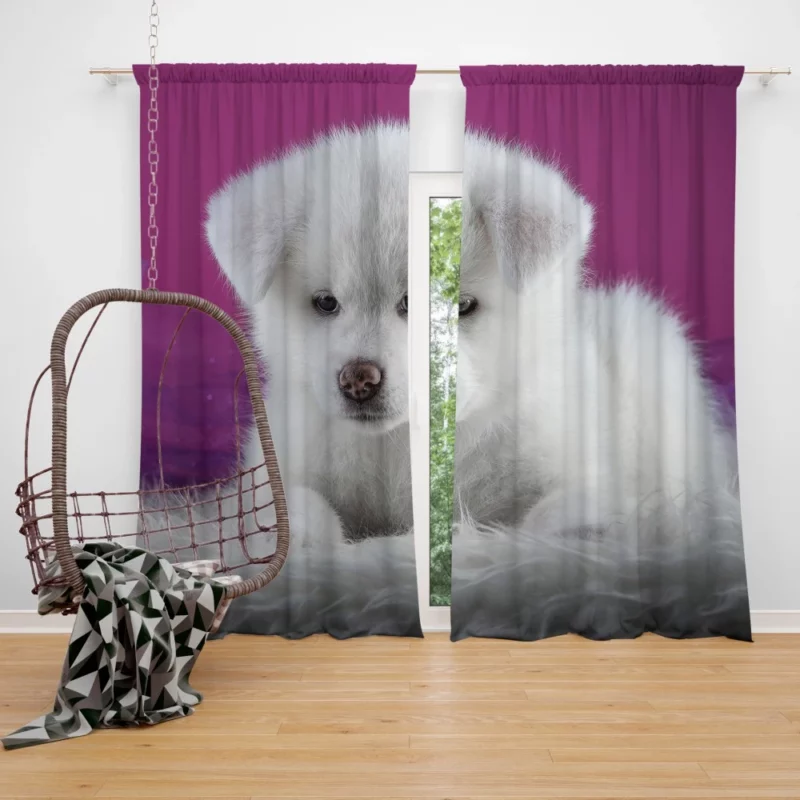 Akita Puppy Captivating Innocence Curtain