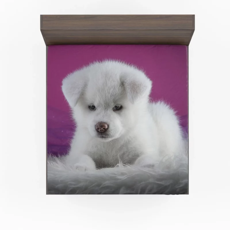 Akita Puppy Captivating Innocence Fitted Sheet 1