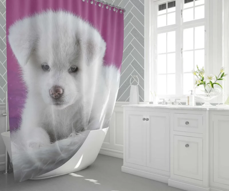 Akita Puppy Captivating Innocence Shower Curtain 1