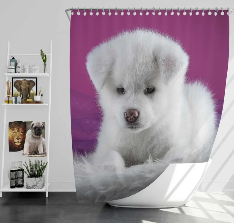 Akita Puppy Captivating Innocence Shower Curtain