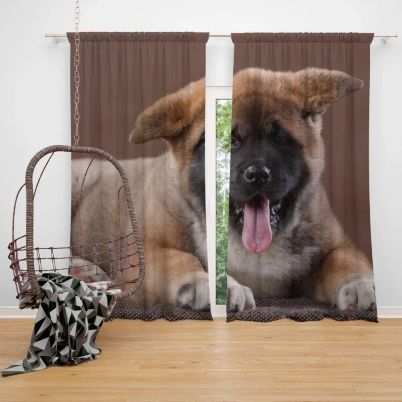 Akita Puppy Furry Innocence Curtain