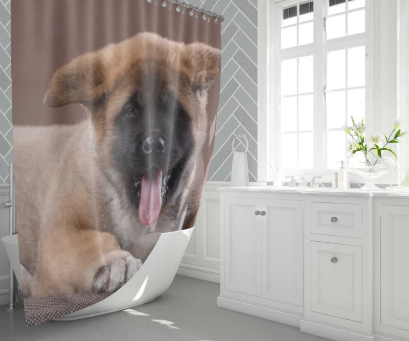 Akita Puppy Furry Innocence Shower Curtain 1