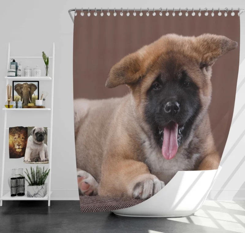 Akita Puppy Furry Innocence Shower Curtain