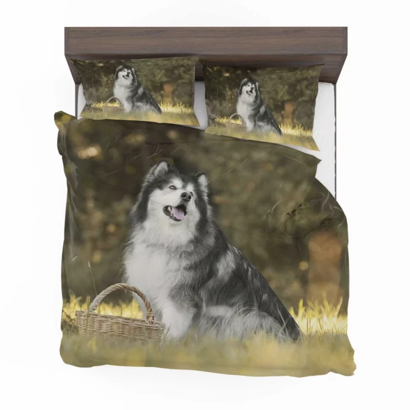 Alaskan Malamute Playful Spirit Bedding Set 1