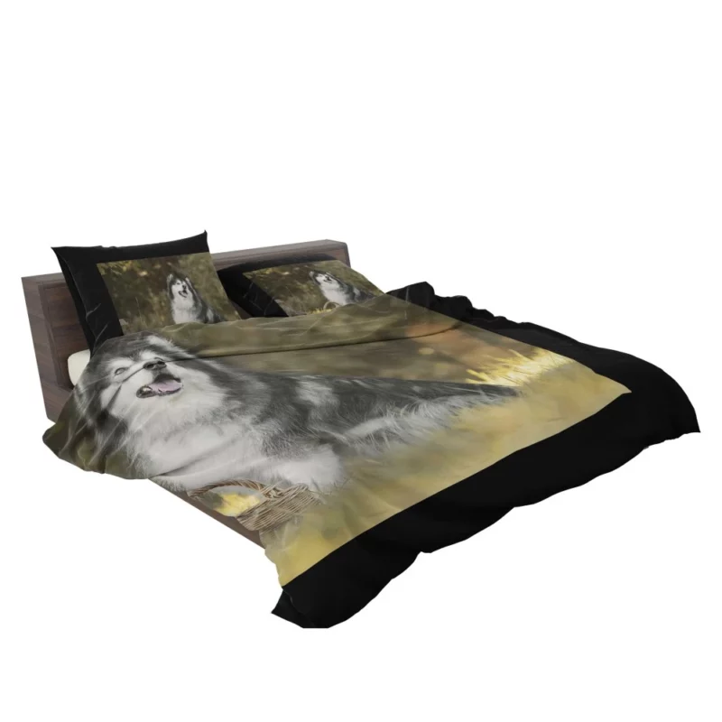 Alaskan Malamute Playful Spirit Bedding Set 2