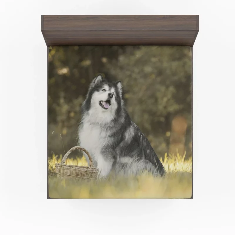 Alaskan Malamute Playful Spirit Fitted Sheet 1