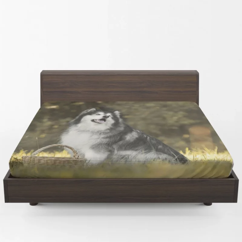 Alaskan Malamute Playful Spirit Fitted Sheet