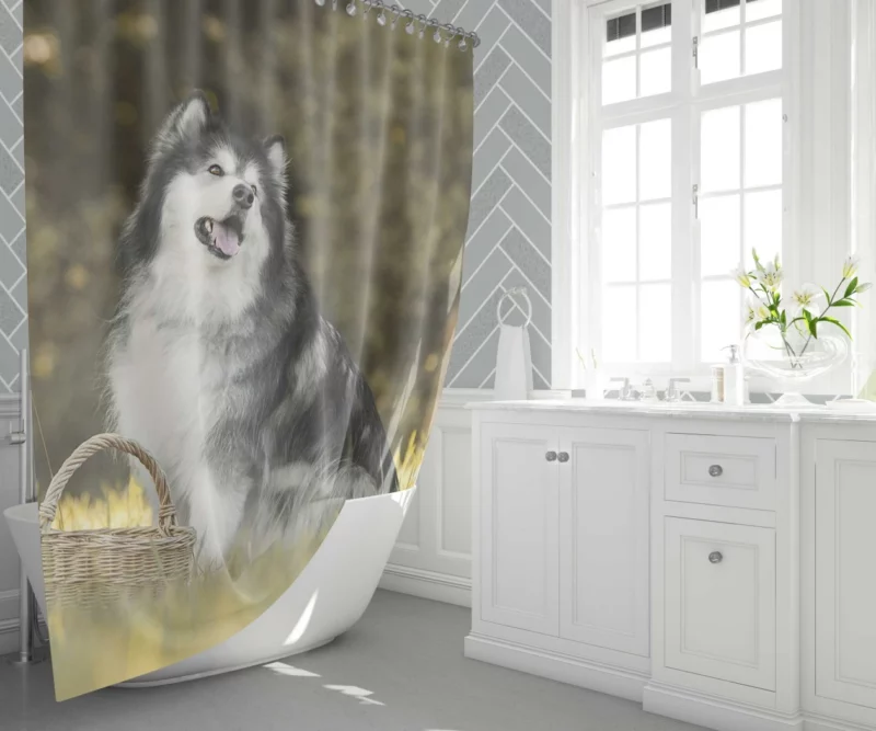 Alaskan Malamute Playful Spirit Shower Curtain 1