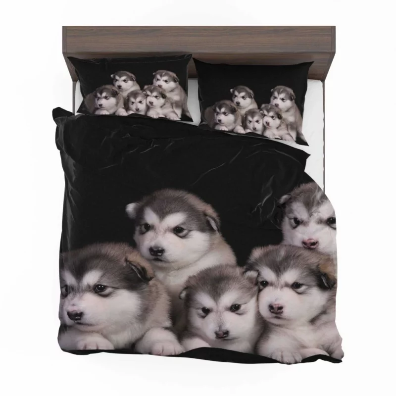 Alaskan Malamute Puppy Captivating Charm Bedding Set 1