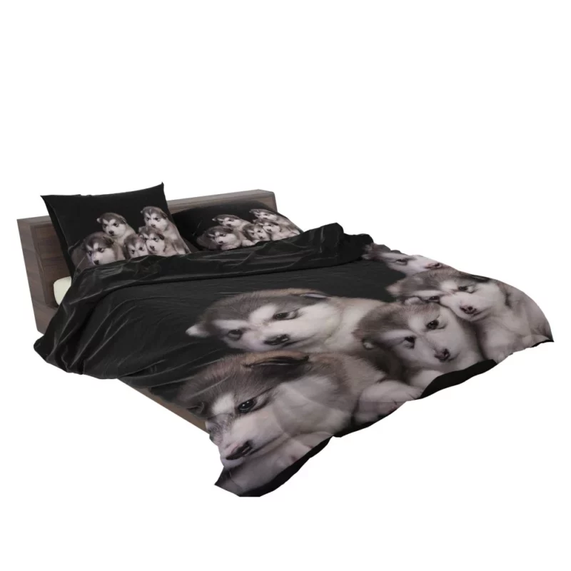 Alaskan Malamute Puppy Captivating Charm Bedding Set 2