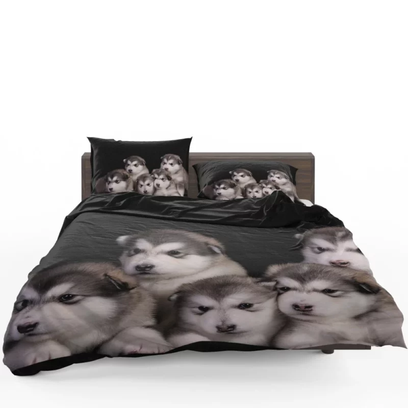 Alaskan Malamute Puppy Captivating Charm Bedding Set