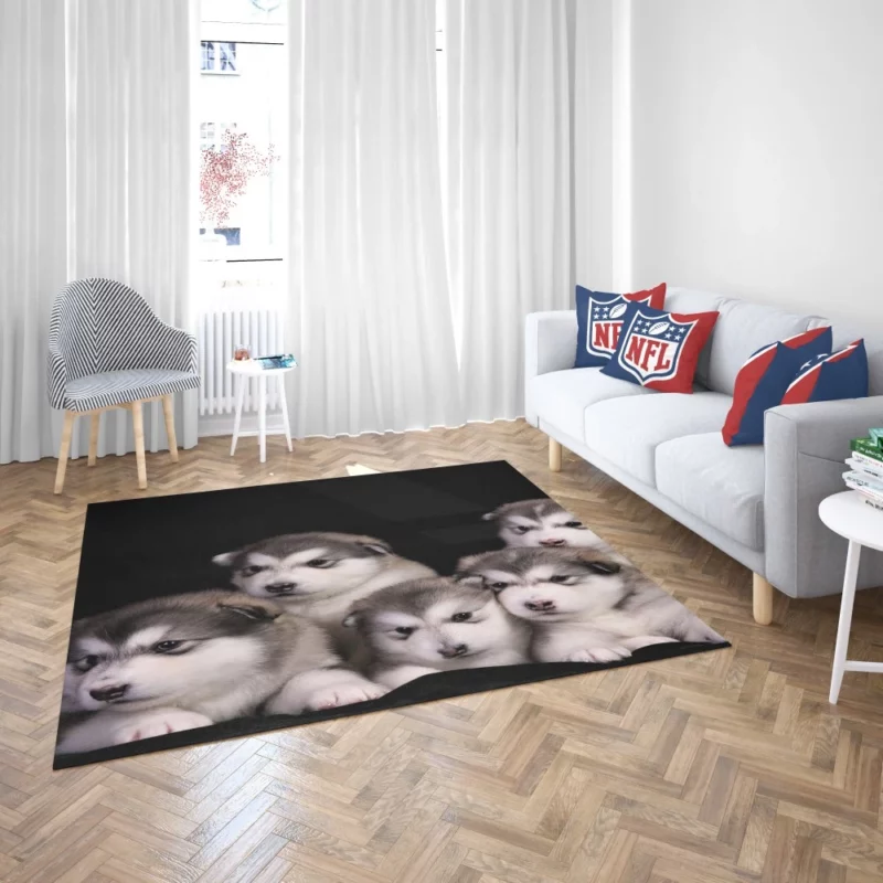 Alaskan Malamute Puppy Captivating Charm Rug 2