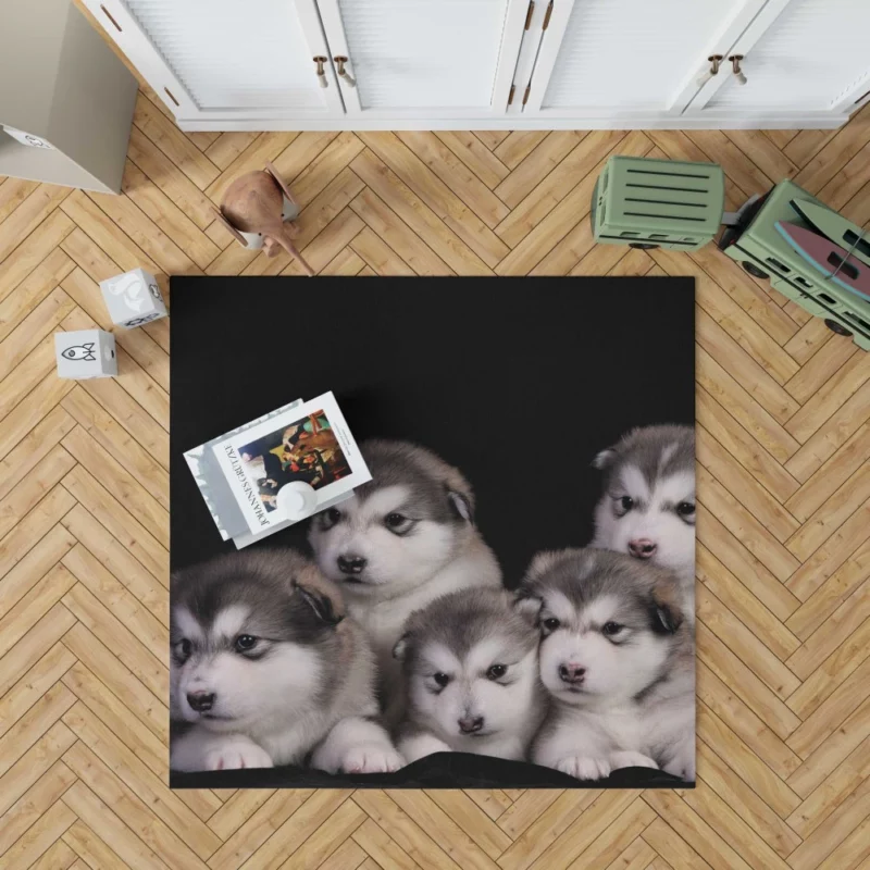 Alaskan Malamute Puppy Captivating Charm Rug