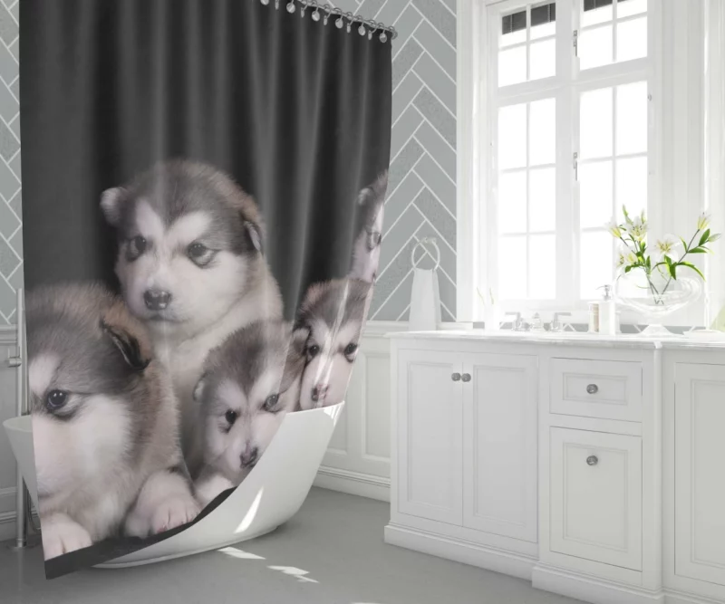 Alaskan Malamute Puppy Captivating Charm Shower Curtain 1