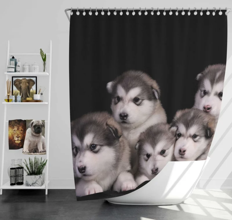 Alaskan Malamute Puppy Captivating Charm Shower Curtain