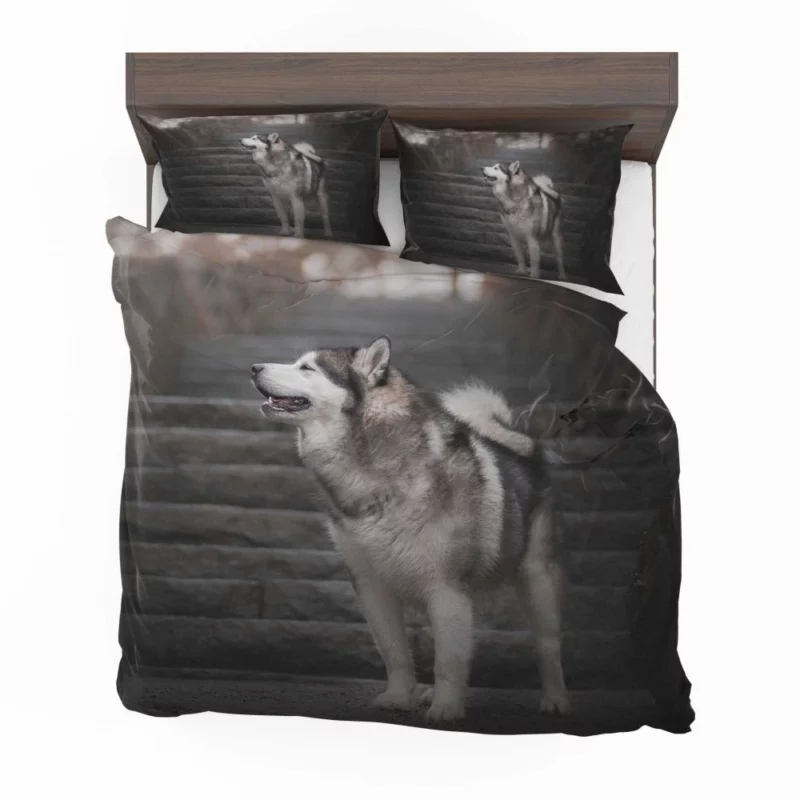 Alaskan Malamute Staircase Sojourn Bedding Set 1