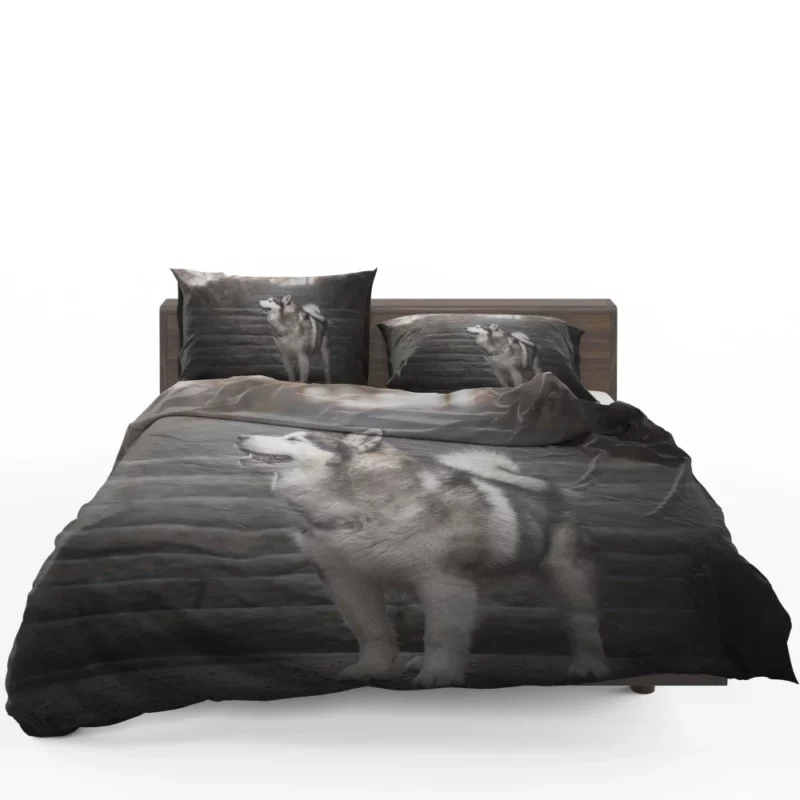 Alaskan Malamute Staircase Sojourn Bedding Set