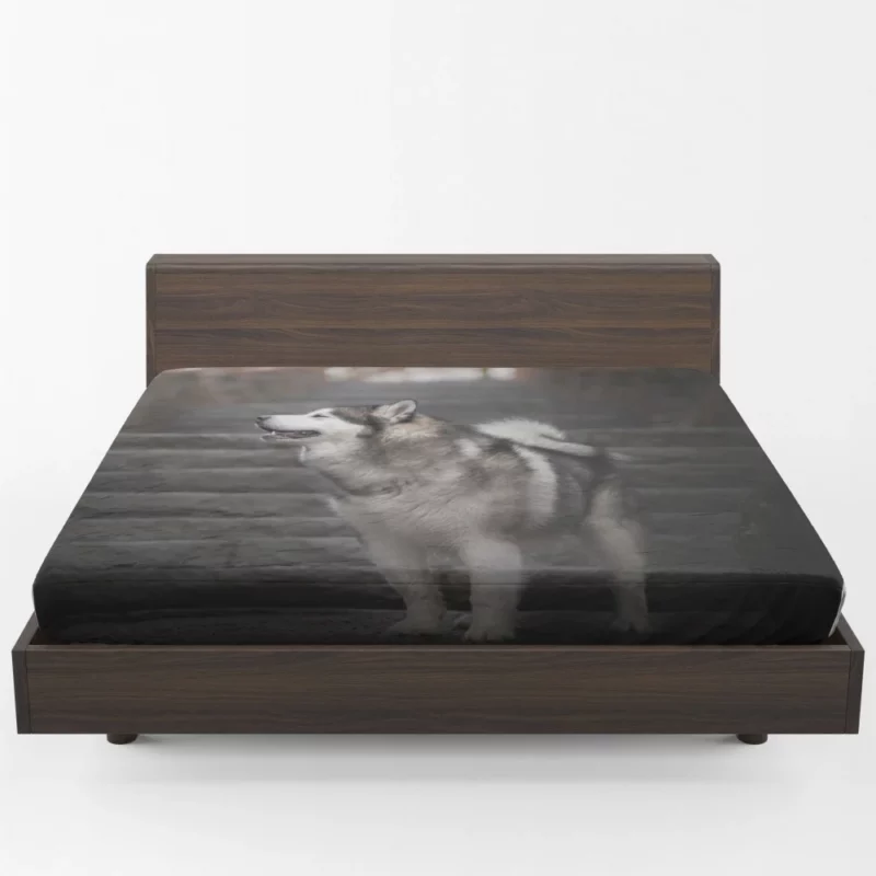 Alaskan Malamute Staircase Sojourn Fitted Sheet