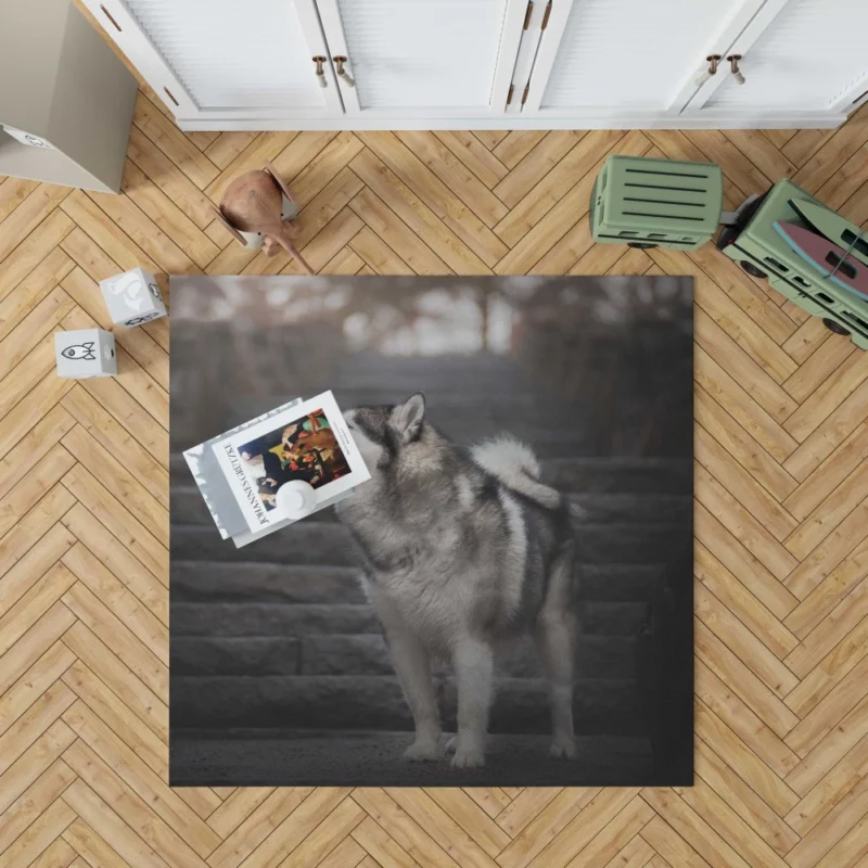 Alaskan Malamute Staircase Sojourn Rug