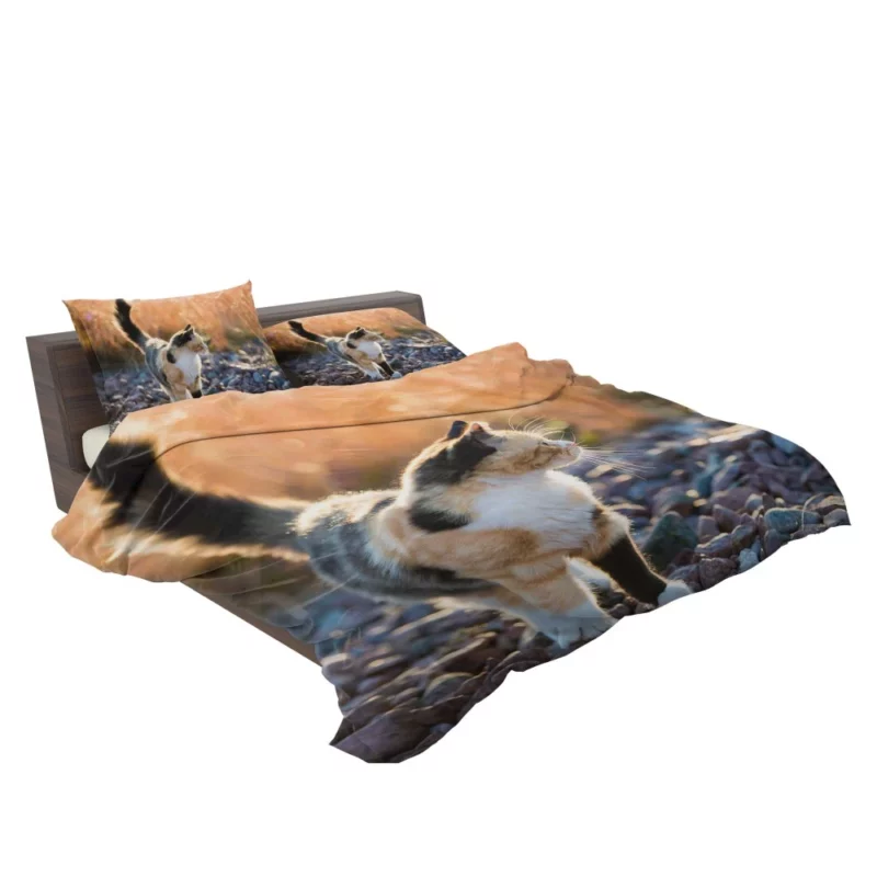 Alluring Cat Expression Bedding Set 2