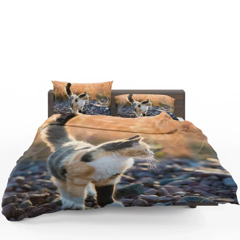 Alluring Cat Expression Bedding Set