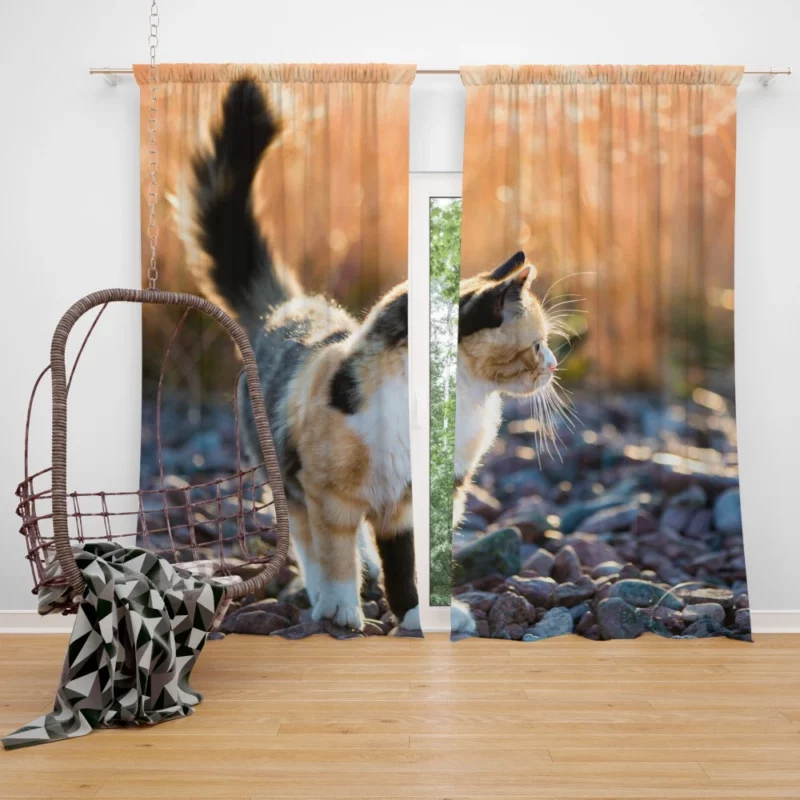 Alluring Cat Expression Curtain