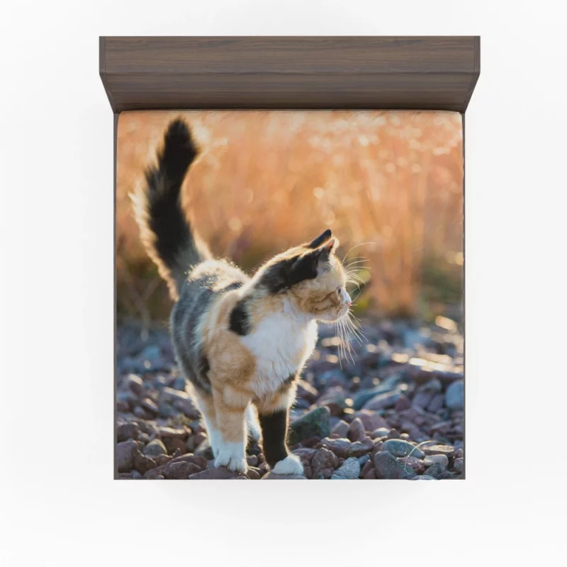 Alluring Cat Expression Fitted Sheet 1