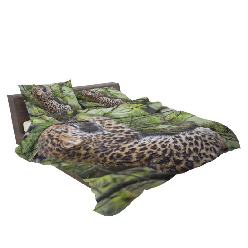 Amur Leopard Cub Wild Cuteness Bedding Set 2