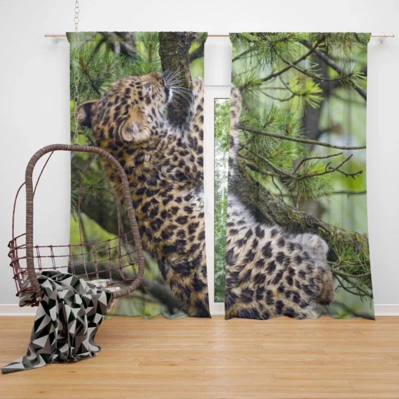 Amur Leopard Cub Wild Cuteness Curtain