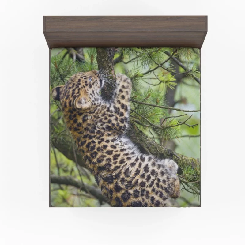 Amur Leopard Cub Wild Cuteness Fitted Sheet 1