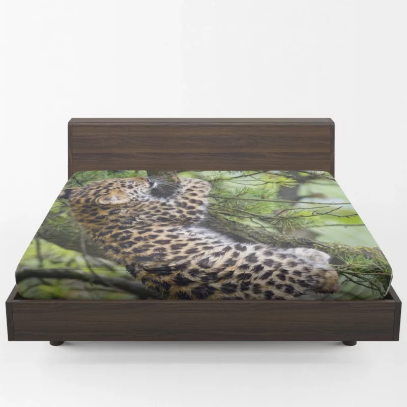 Amur Leopard Cub Wild Cuteness Fitted Sheet