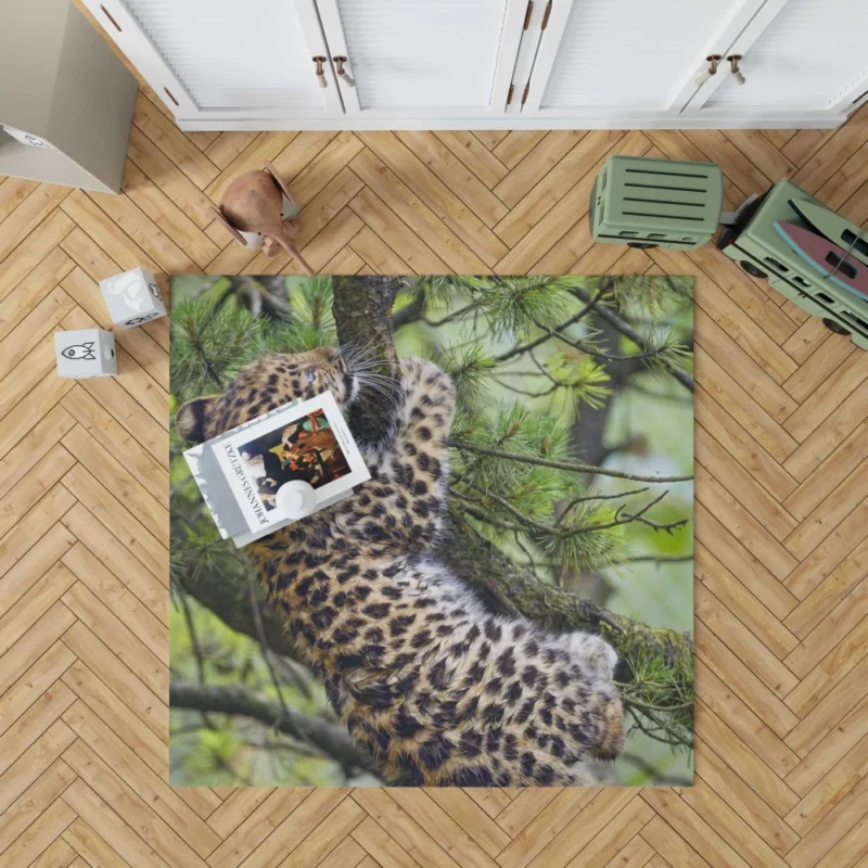 Amur Leopard Cub Wild Cuteness Rug