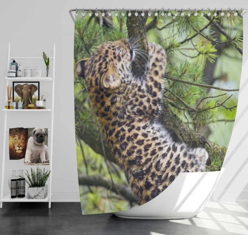 Amur Leopard Cub Wild Cuteness Shower Curtain