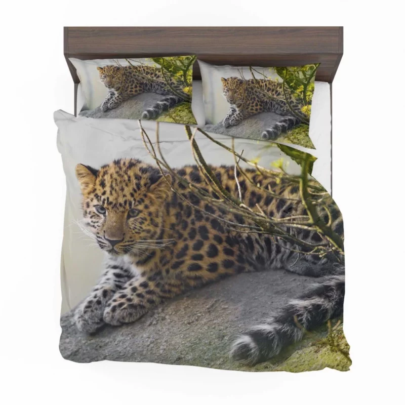 Amur Leopard Regal Stare Elusive Majesty Bedding Set 1