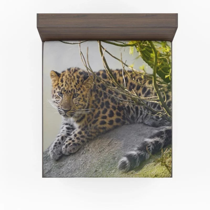 Amur Leopard Regal Stare Elusive Majesty Fitted Sheet 1