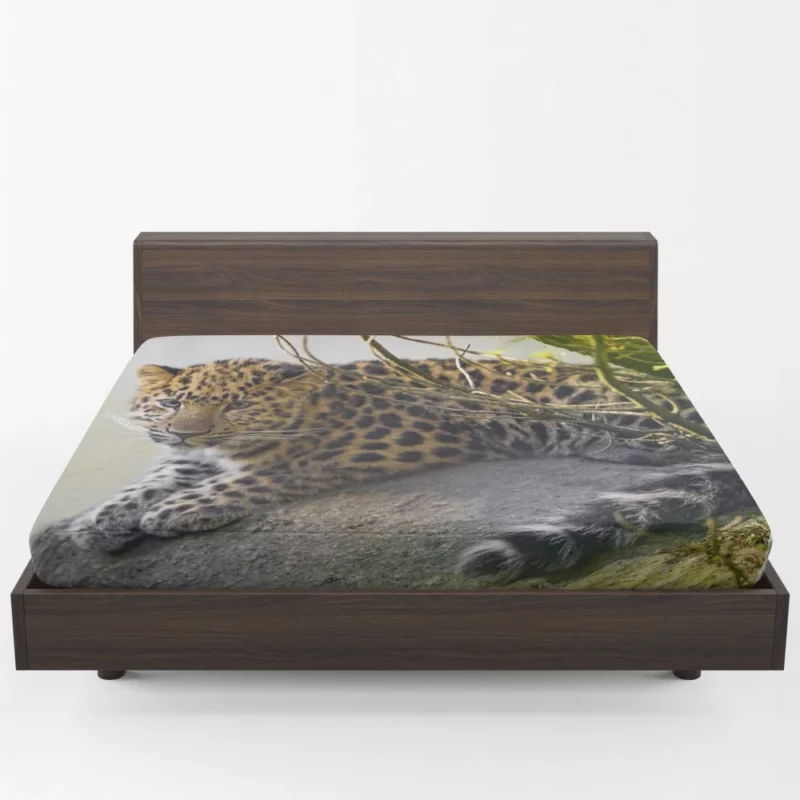 Amur Leopard Regal Stare Elusive Majesty Fitted Sheet