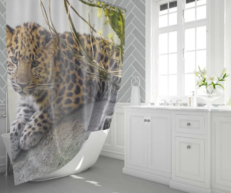 Amur Leopard Regal Stare Elusive Majesty Shower Curtain 1