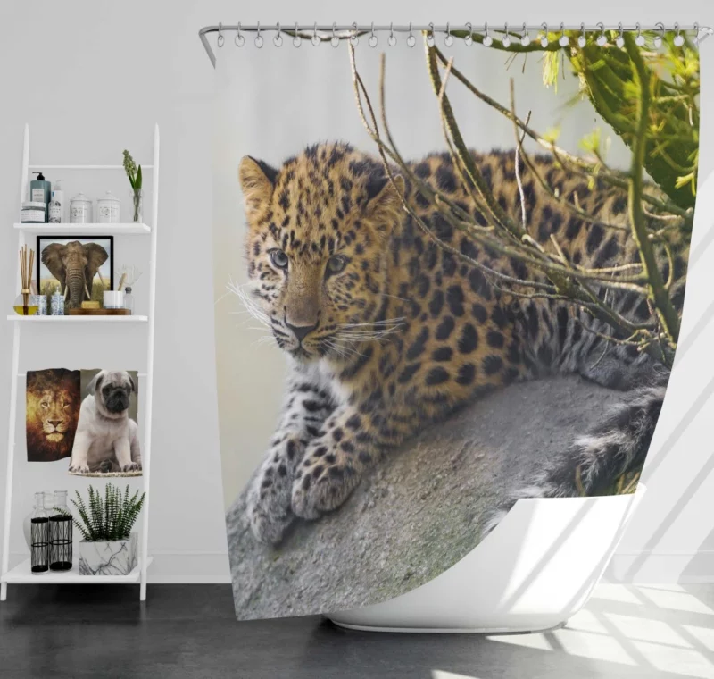 Amur Leopard Regal Stare Elusive Majesty Shower Curtain