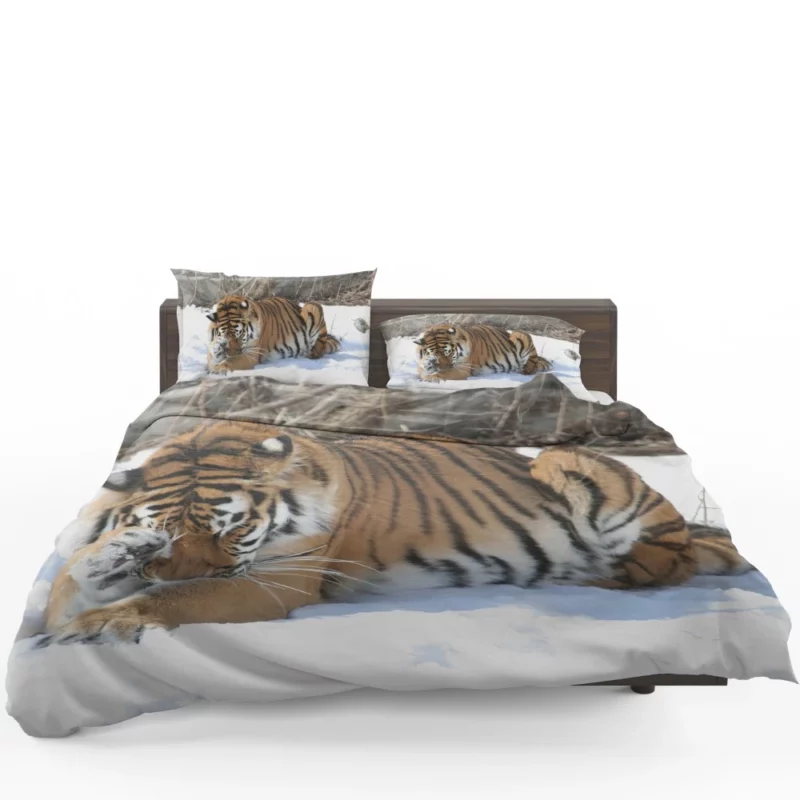 Amur Tiger Snowy Majesty Wilderness Gaze Bedding Set