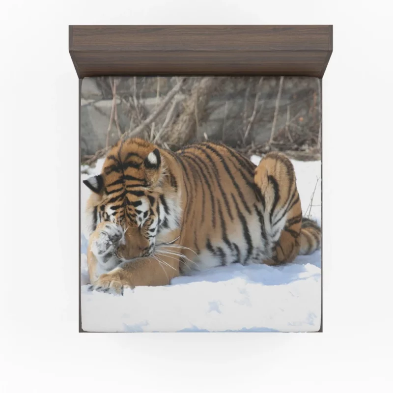 Amur Tiger Snowy Majesty Wilderness Gaze Fitted Sheet 1