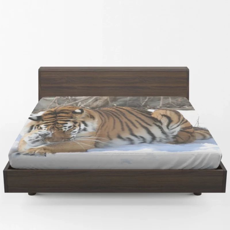 Amur Tiger Snowy Majesty Wilderness Gaze Fitted Sheet