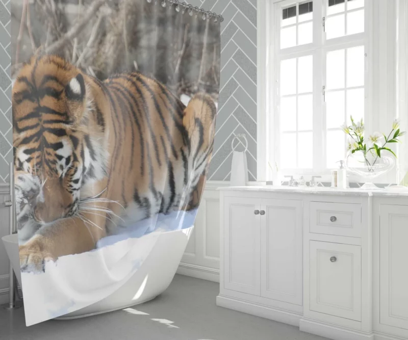 Amur Tiger Snowy Majesty Wilderness Gaze Shower Curtain 1