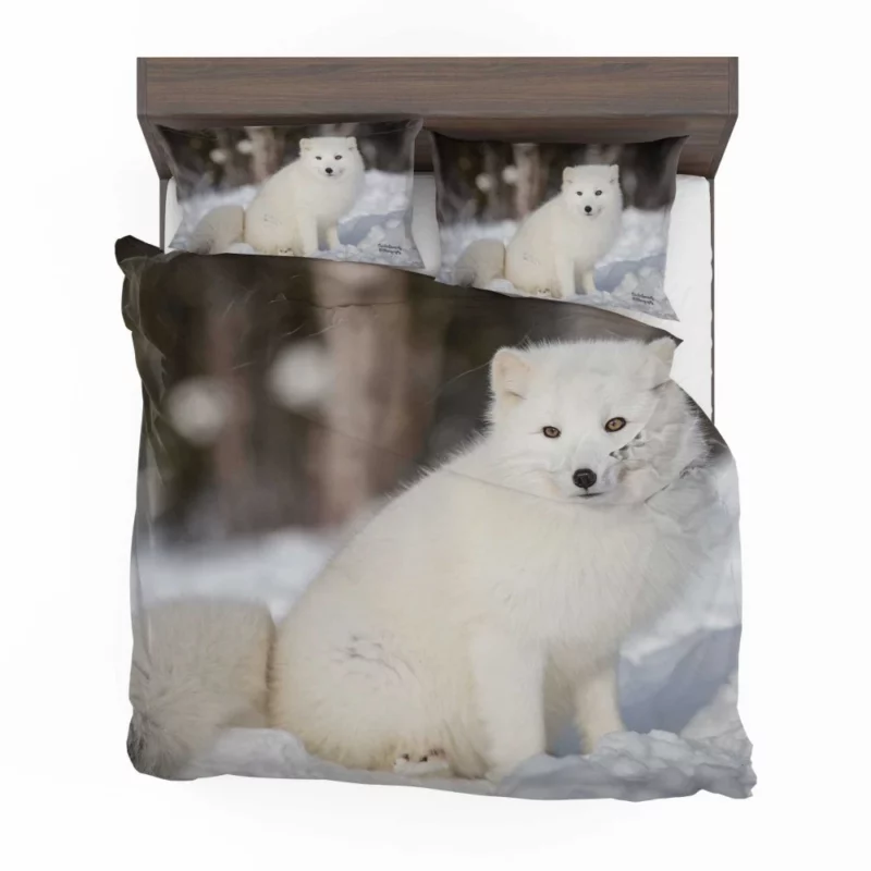 Arctic Fox Snowy Delight Cold Elegance Bedding Set 1