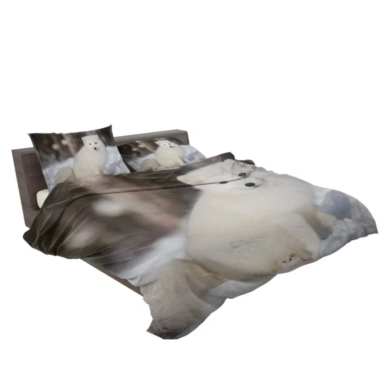 Arctic Fox Snowy Delight Cold Elegance Bedding Set 2