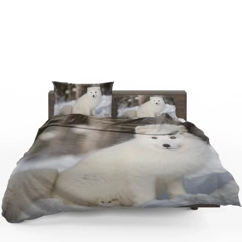 Arctic Fox Snowy Delight Cold Elegance Bedding Set