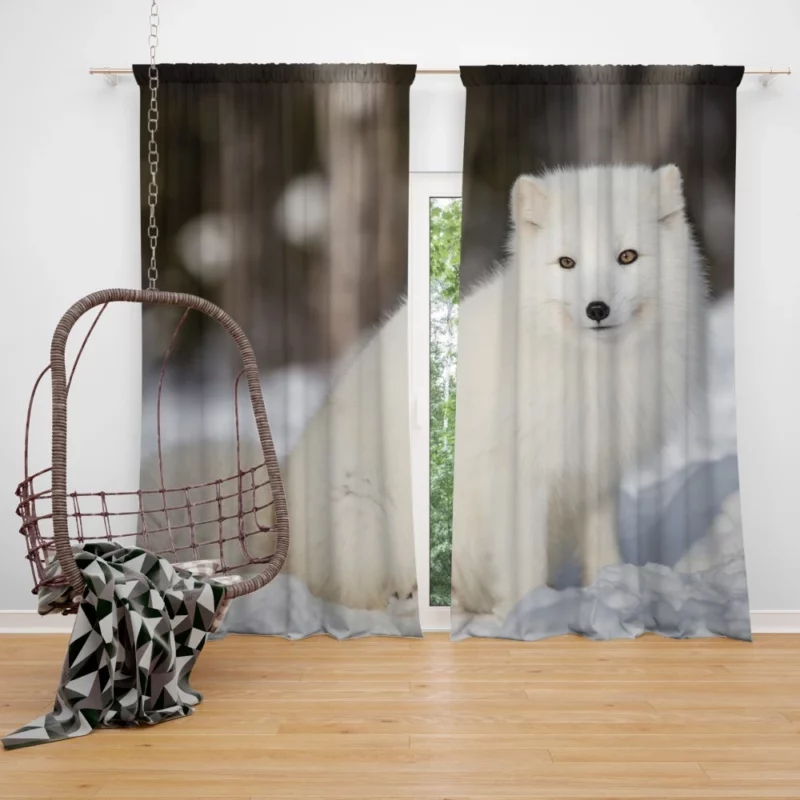 Arctic Fox Snowy Delight Cold Elegance Curtain