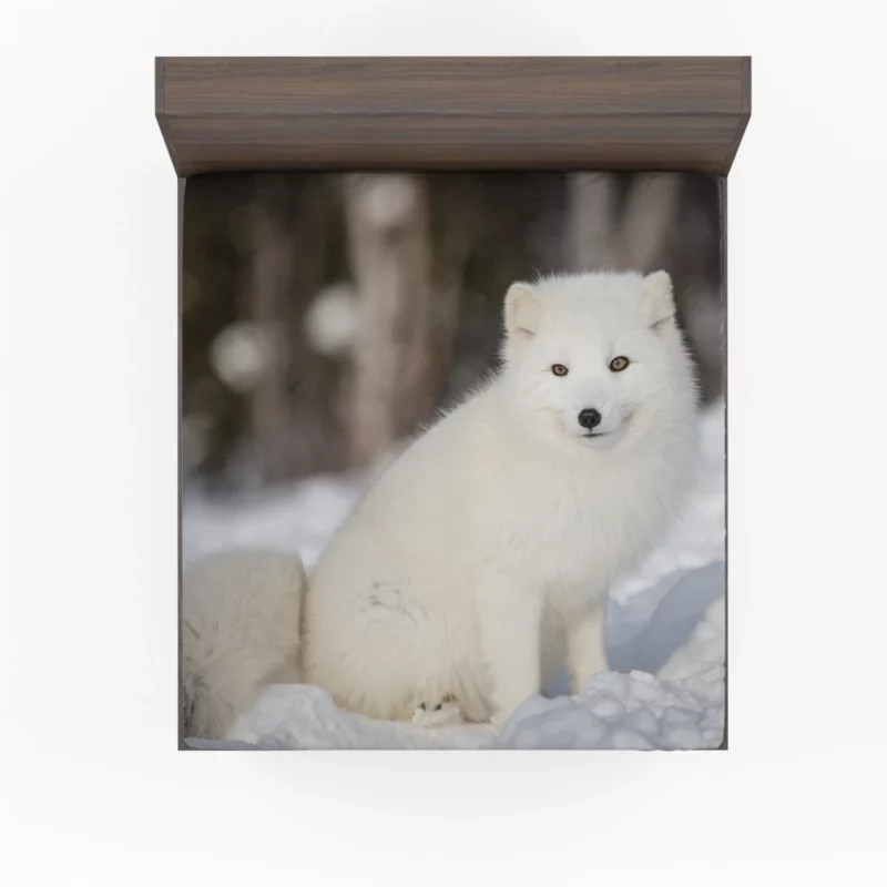 Arctic Fox Snowy Delight Cold Elegance Fitted Sheet 1