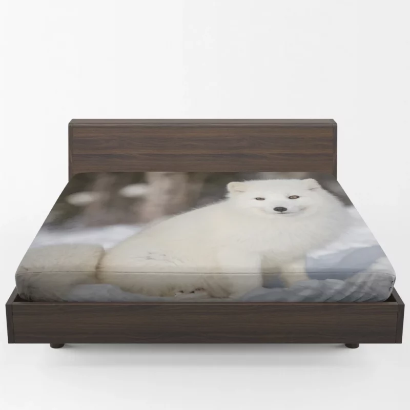 Arctic Fox Snowy Delight Cold Elegance Fitted Sheet